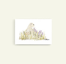 Load image into Gallery viewer, Soft Coated Wheaten Terrier Wild Flowers Print without frame