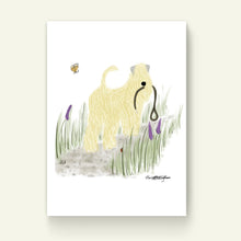 Load image into Gallery viewer, Soft Coated Wheaten Terrier Walk Our Wheaten Print without frame