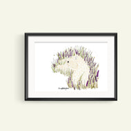 A print from an original drawing done by Harriet Billingham Illustration of a Soft Coated Wheaten Terrier lying in a meadow of lavender and grass surrounded by bumble bees