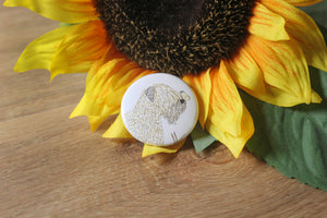 Soft Coated Wheaten With Butterfly Badge