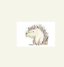 Load image into Gallery viewer, Frame not included, A4 print of a soft coated wheaten terrier dog drawn by Harriet Billingham that is lying in some lavender surrounded by grass and bumble bees.
