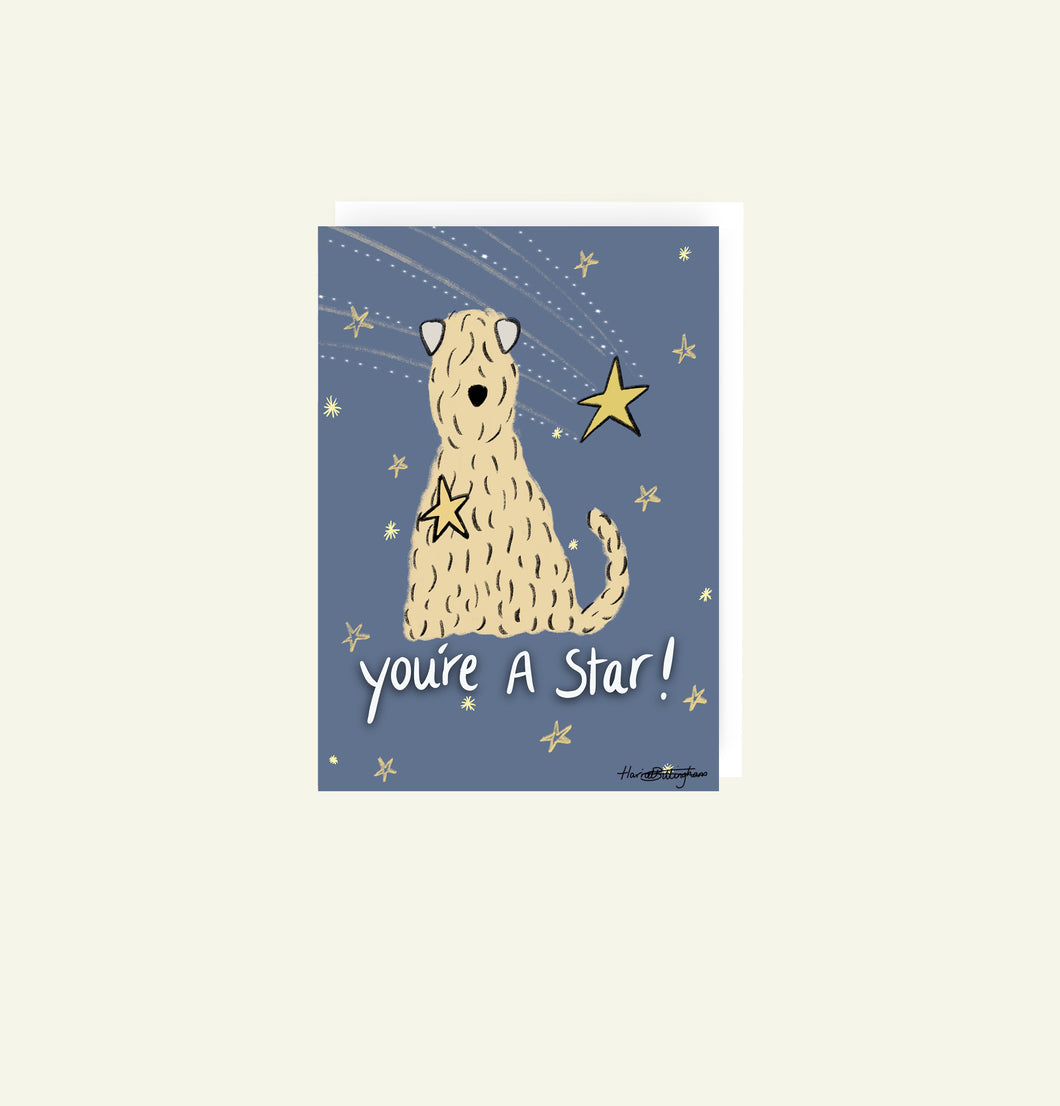 You're A Star greetings card with a soft coated wheaten terrier on digitally drawn by Harriet Billingham