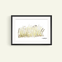 Load image into Gallery viewer, Soft Coated Wheaten Terrier In The Grass with frame
