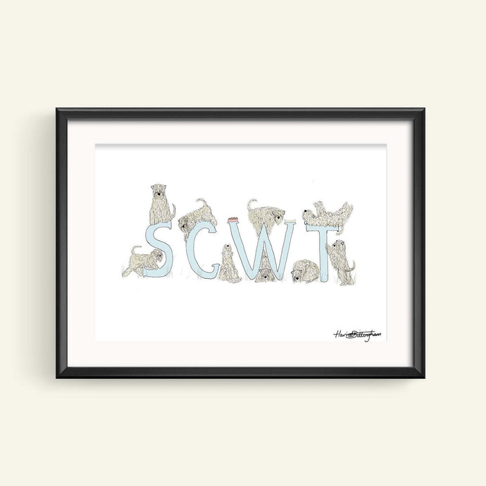 Soft Coated Wheaten Terrier SCWT print shown in a frame. Frame not included