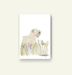 Soft Coated Wheaten Terrier Butterfly Print without frame