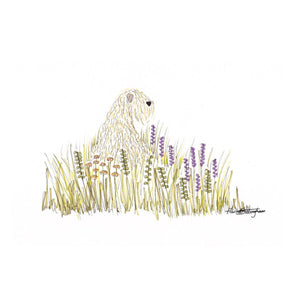 Soft Coated Wheaten Terrier Wild Flowers Print digital