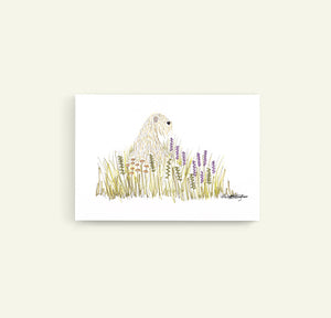 Soft Coated Wheaten Terrier Wild Flowers Print without frame