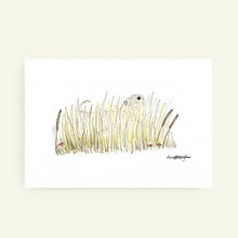 Load image into Gallery viewer, Soft Coated Wheaten Terrier In The Grass without frame
