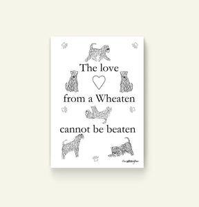 The Love From A Wheaten Cannot Be Beaten Print without frame